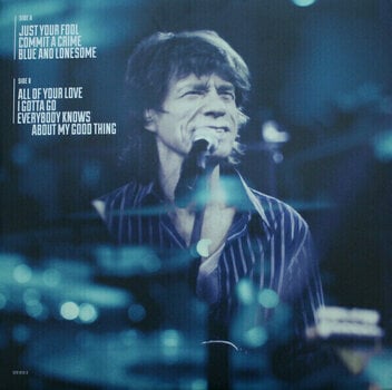 Disco de vinil The Rolling Stones - Blue & Lonesome (2 LP) - 7