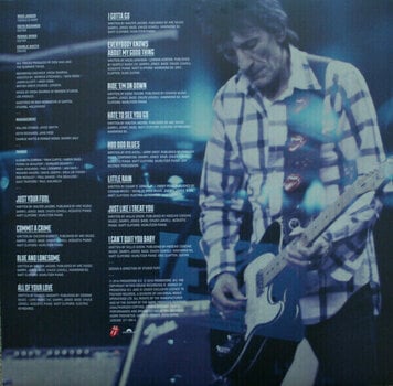Грамофонна плоча The Rolling Stones - Blue & Lonesome (2 LP) - 10