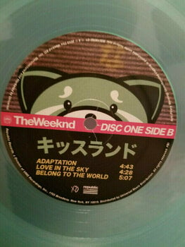 Vinyl Record The Weeknd - Kiss Land (Coloured Vinyl) (2 LP) - 4