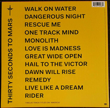 Vinyl Record Thirty Seconds To Mars - America (LP) - 2