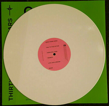 Vinyl Record Thirty Seconds To Mars - America (LP) - 6