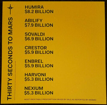 Disco de vinilo Thirty Seconds To Mars - America (LP) - 8