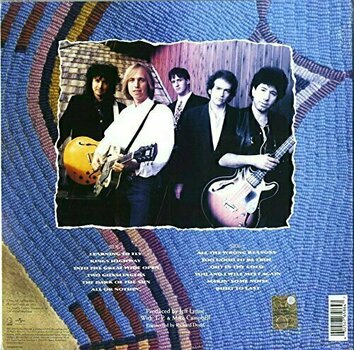 LP Tom Petty - Into The Great Wide Open (LP) - 2