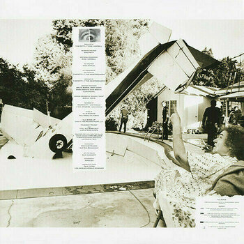 Vinylskiva Tom Petty - The Studio Album Vinyl Collection 1976-1991 (Deluxe Edition) (9 LP) - 41