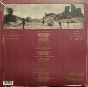 Грамофонна плоча U2 - The Unforgettable Fire (LP) - 18