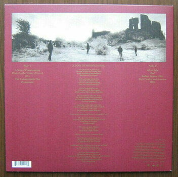 Vinylskiva U2 - The Unforgettable Fire (LP) - 5