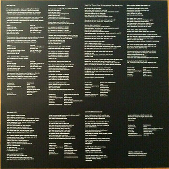 Disque vinyle U2 - Achtung Baby (2 LP) - 11