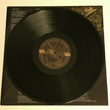 Vinyylilevy Volbeat - Beyond Hell / Above Heaven (2 LP) - 8