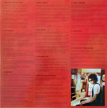 Disque vinyle Wolfmother - Victorious (LP) - 5