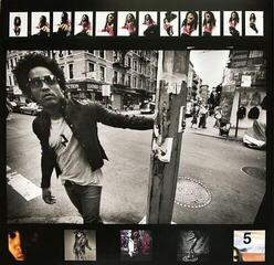 Disc de vinil Lenny Kravitz - Greatest Hits (2 LP) - 6