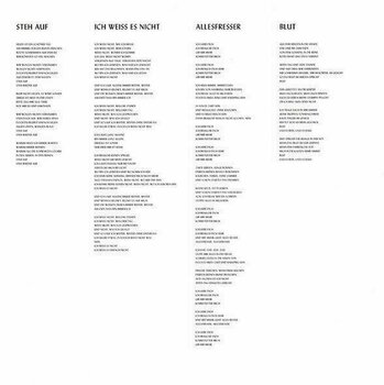 Hanglemez Lindemann - F & M (2 LP) - 5