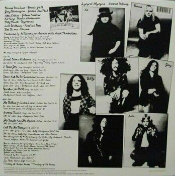 Vinylskiva Lynyrd Skynyrd - Second Helping (12" LP) - 2