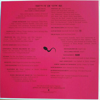LP ploča Queens Of The Stone Age - Songs For The Deaf (2 LP) - 8