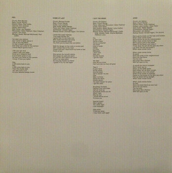Disco de vinilo Steely Dan - Aja (LP) - 7