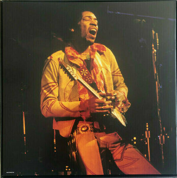 Disque vinyle Jimi Hendrix - Songs For Groovy Children: The Fillmore East Concerts (Box Set) (8 LP) - 7