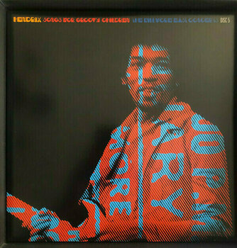 LP Jimi Hendrix - Songs For Groovy Children: The Fillmore East Concerts (Box Set) (8 LP) - 31