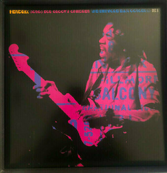 Δίσκος LP Jimi Hendrix - Songs For Groovy Children: The Fillmore East Concerts (Box Set) (8 LP) - 37