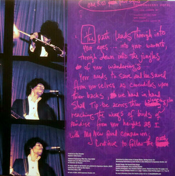 LP plošča The Jimi Hendrix Experience Are You Experienced (2 LP) - 4