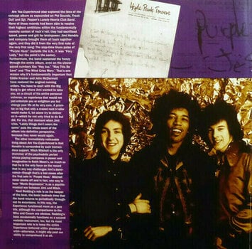 Disque vinyle The Jimi Hendrix Experience Are You Experienced (2 LP) - 12