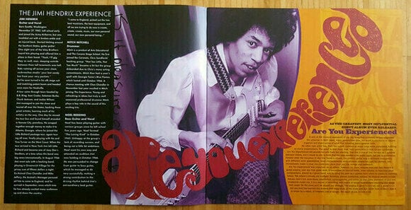Disco de vinilo The Jimi Hendrix Experience Are You Experienced (2 LP) - 18