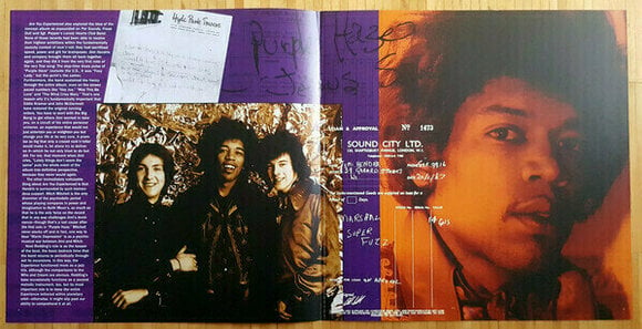 Vinyl Record The Jimi Hendrix Experience Are You Experienced (2 LP) - 19