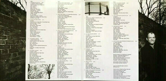 Schallplatte Joe Cocker - Greatest Hits (Gatefold Sleeve) (2 LP) - 4