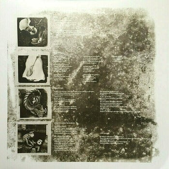 Disco de vinil Pixies - Doolittle (LP) - 8