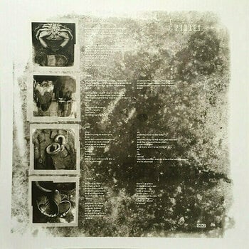 Vinylskiva Pixies - Doolittle (LP) - 9