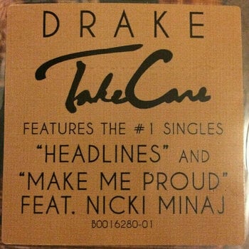 Vinylskiva Drake - Take Care (2 LP) - 3