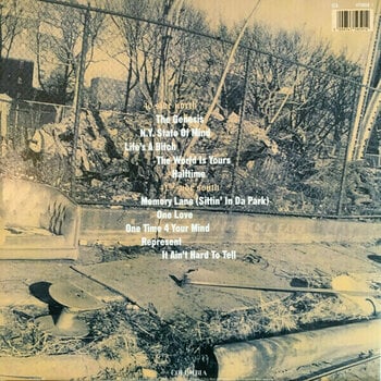 Schallplatte Nas - Illmatic (LP) - 5