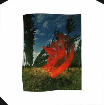 Hanglemez Pink Floyd - Wish You Were Here (LP) - 5