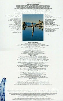 LP Pink Floyd - Wish You Were Here (LP) - 6