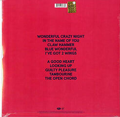 Disque vinyle Elton John - Wonderful Crazy Night (LP) - 5