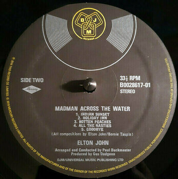 Disco de vinilo Elton John - Madman Across The Water (LP) - 4