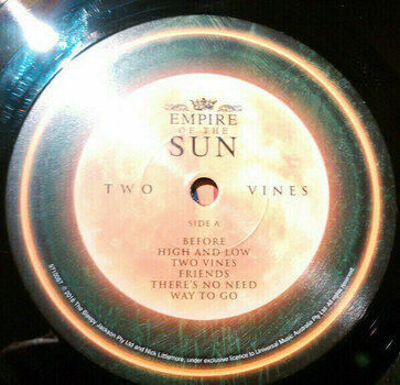 Vinylskiva Empire Of The Sun - Two Vines (LP) - 4