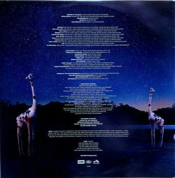 Δίσκος LP Empire Of The Sun - Two Vines (LP) - 6