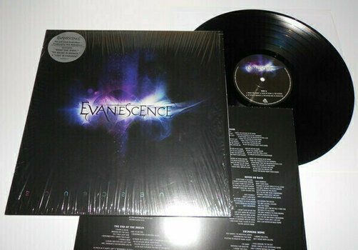 Vinylskiva Evanescence - Evanescence (LP) - 2
