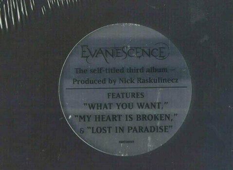 Vinylskiva Evanescence - Evanescence (LP) - 8