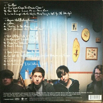 Schallplatte Fall Out Boy - Infinity On High (2 LP) - 9
