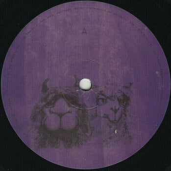 Disque vinyle Fall Out Boy - Mania (LP) - 2