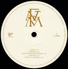 LP ploča Florence and the Machine - High As Hope (LP) - 2