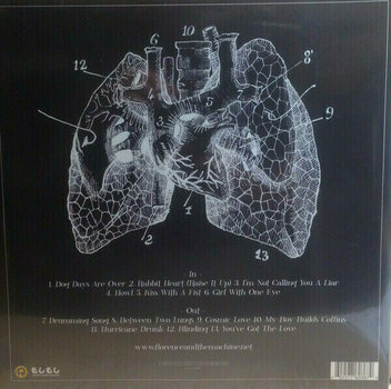 Δίσκος LP Florence and the Machine - Lungs (Deluxe Edition) (LP) - 6