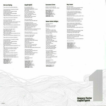 Schallplatte Gregory Porter - Liquid Spirit (2 LP) - 8