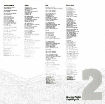 Disco de vinil Gregory Porter - Liquid Spirit (2 LP) - 9