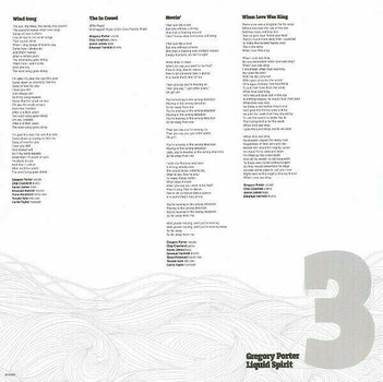 Vinyl Record Gregory Porter - Liquid Spirit (2 LP) - 10