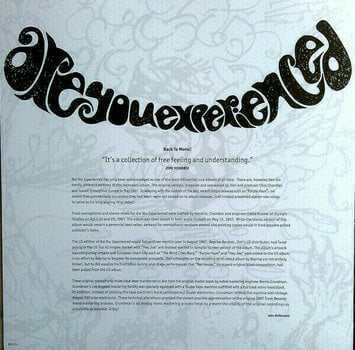 Vinyylilevy The Jimi Hendrix Experience - Are You Experienced (Mono) (LP) - 5