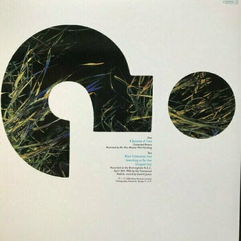 LP Depeche Mode - Black Celebration - The 12" Singles (5 x 12" Box Set) - 19