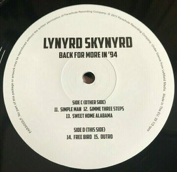 Vinyl Record Lynyrd Skynyrd - Back For More In '94 (2 LP) - 5