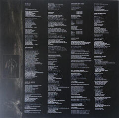 LP deska Queensryche - Promised Land (Clear Coloured) (LP) - 4