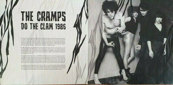Vinyl Record The Cramps - Do The Clam (2 LP) - 7
